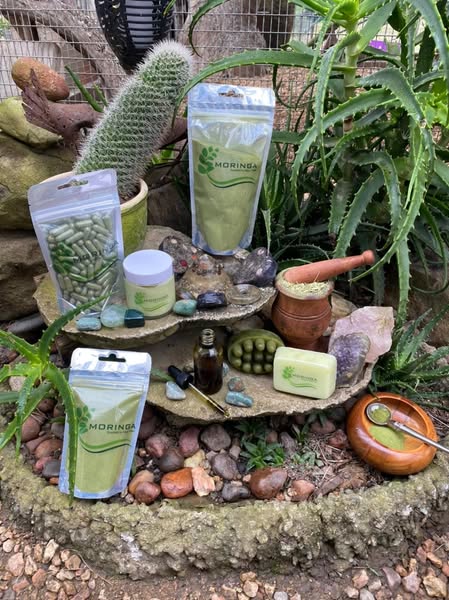 Moringa South Africa Products
